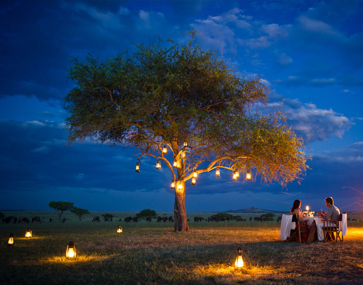 Luxury villa guests